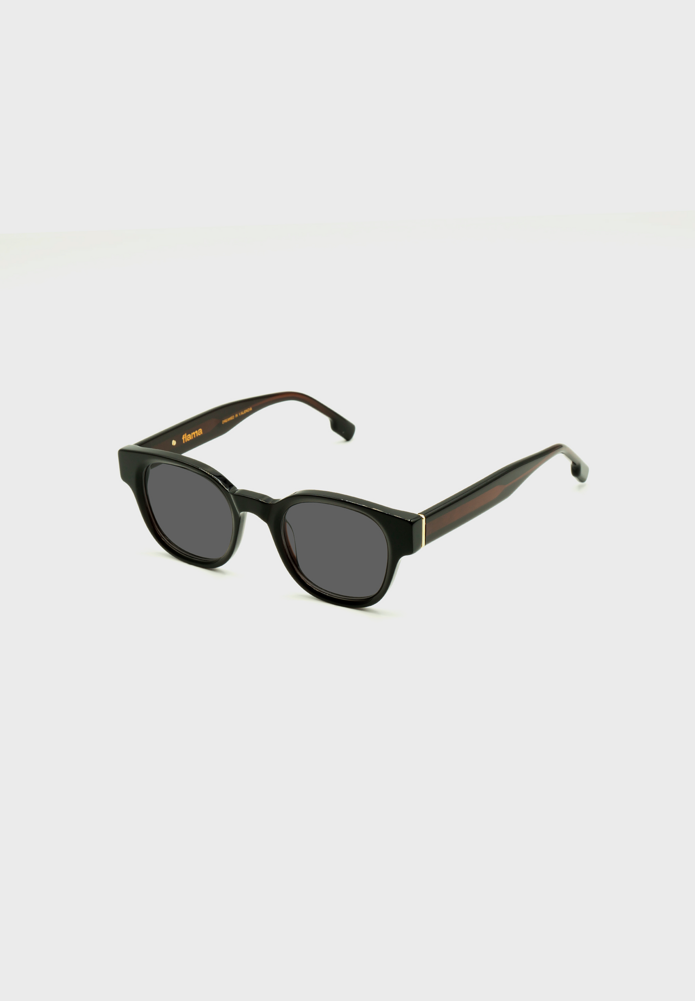 Gafas de sol FLM01 C1