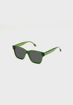 Gafas de sol FLM02 C2