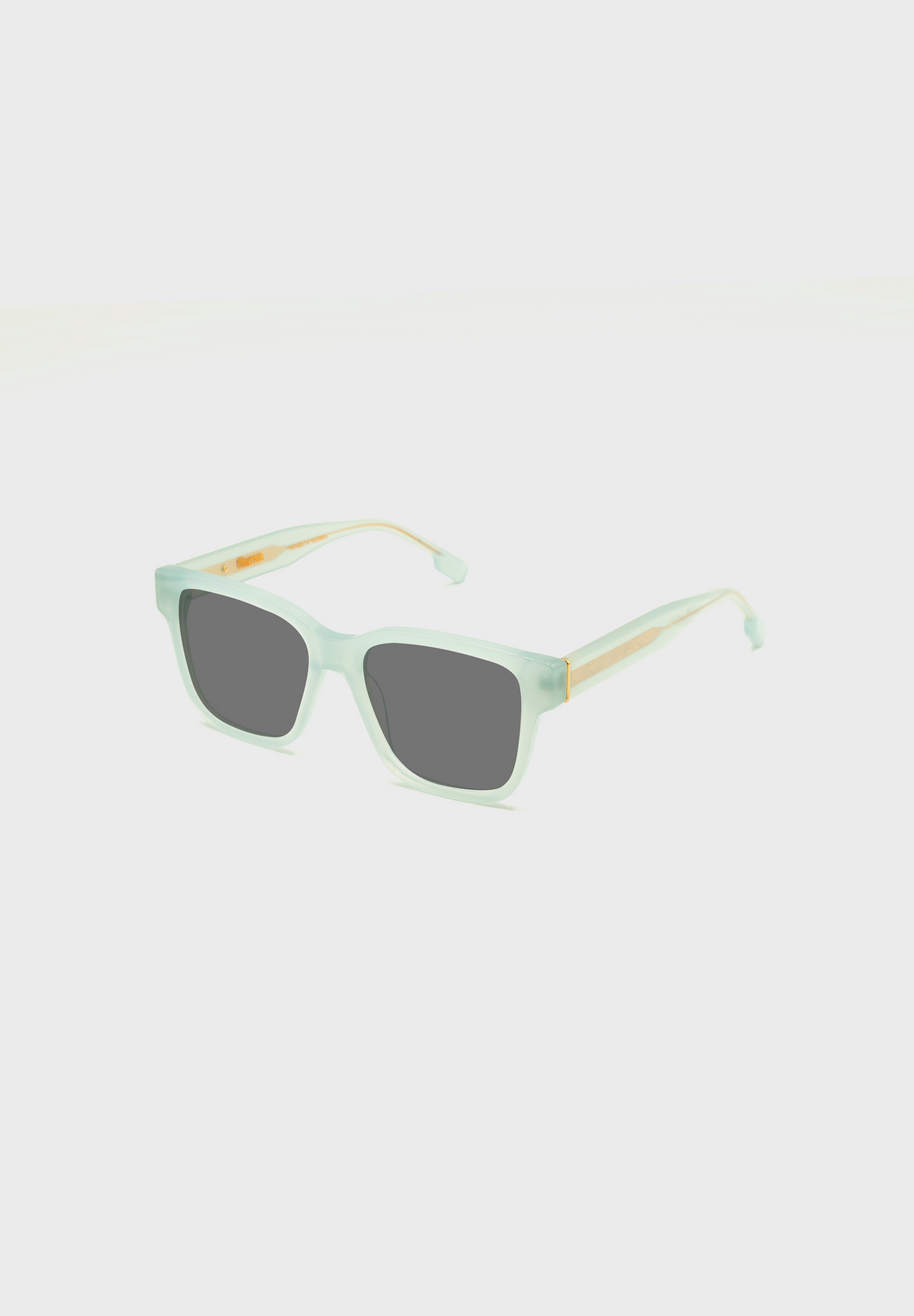 Gafas de sol FLM02 C3