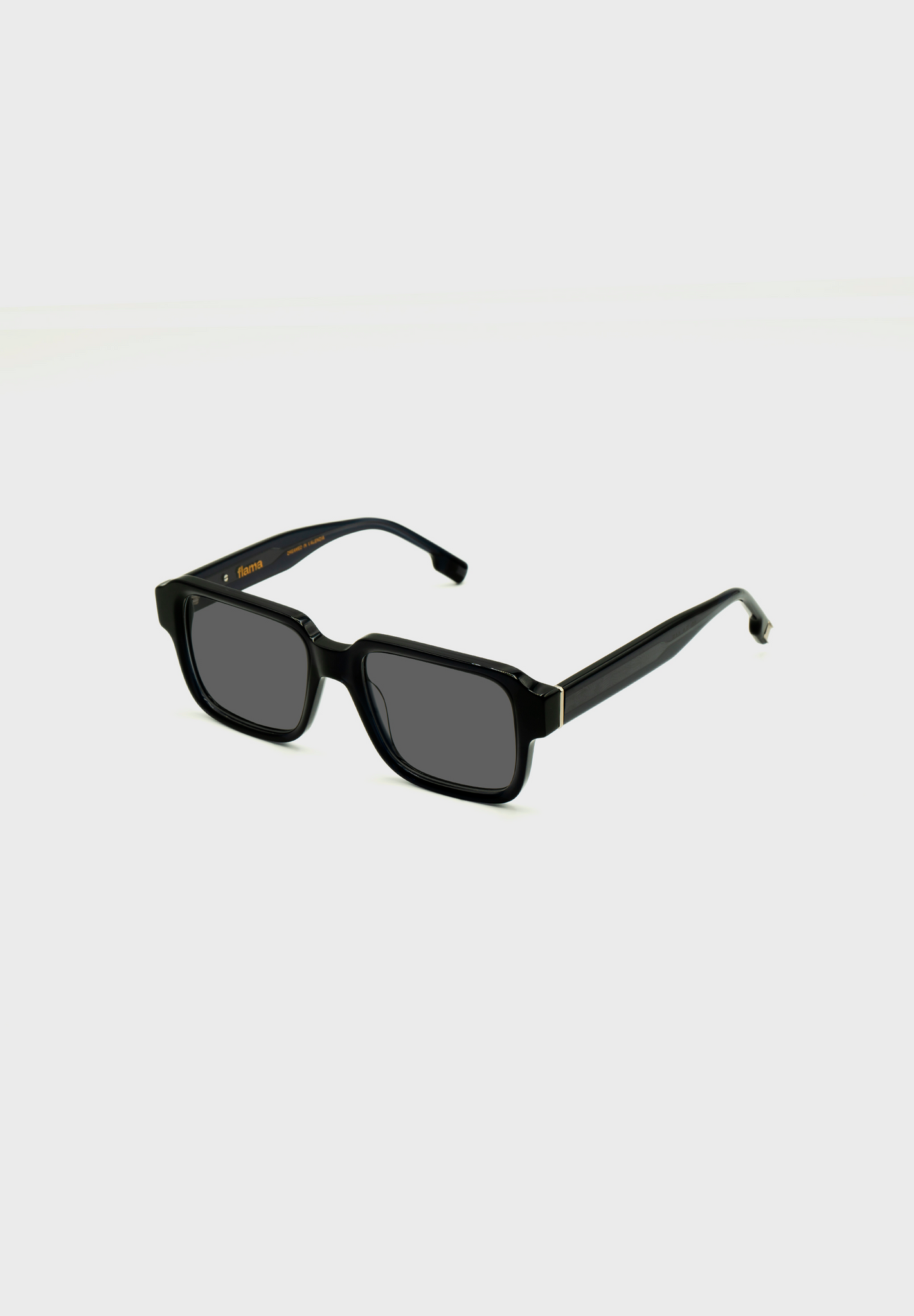 Gafas de sol FLM04 C1