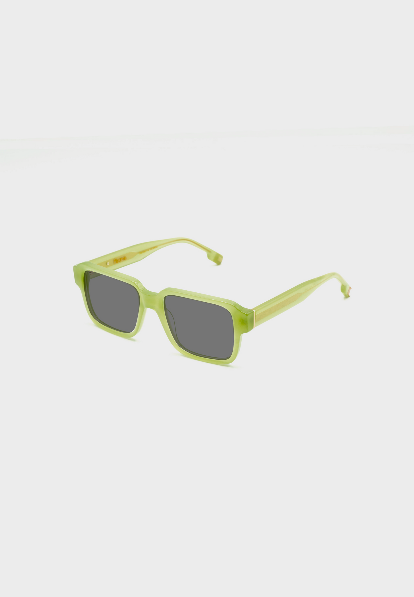 Gafas de sol FLM04 C2