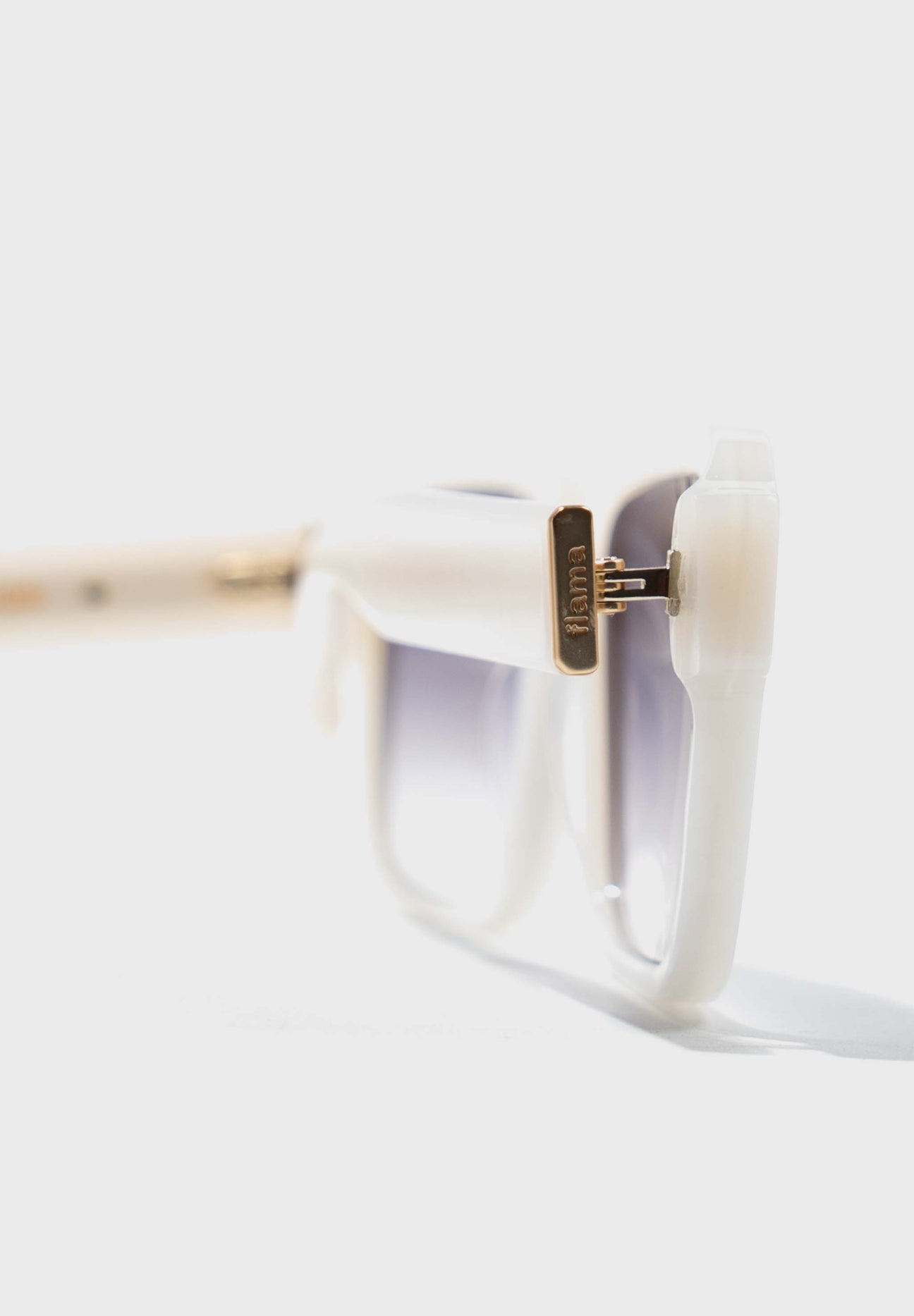 Gafas de sol FLM04 C5