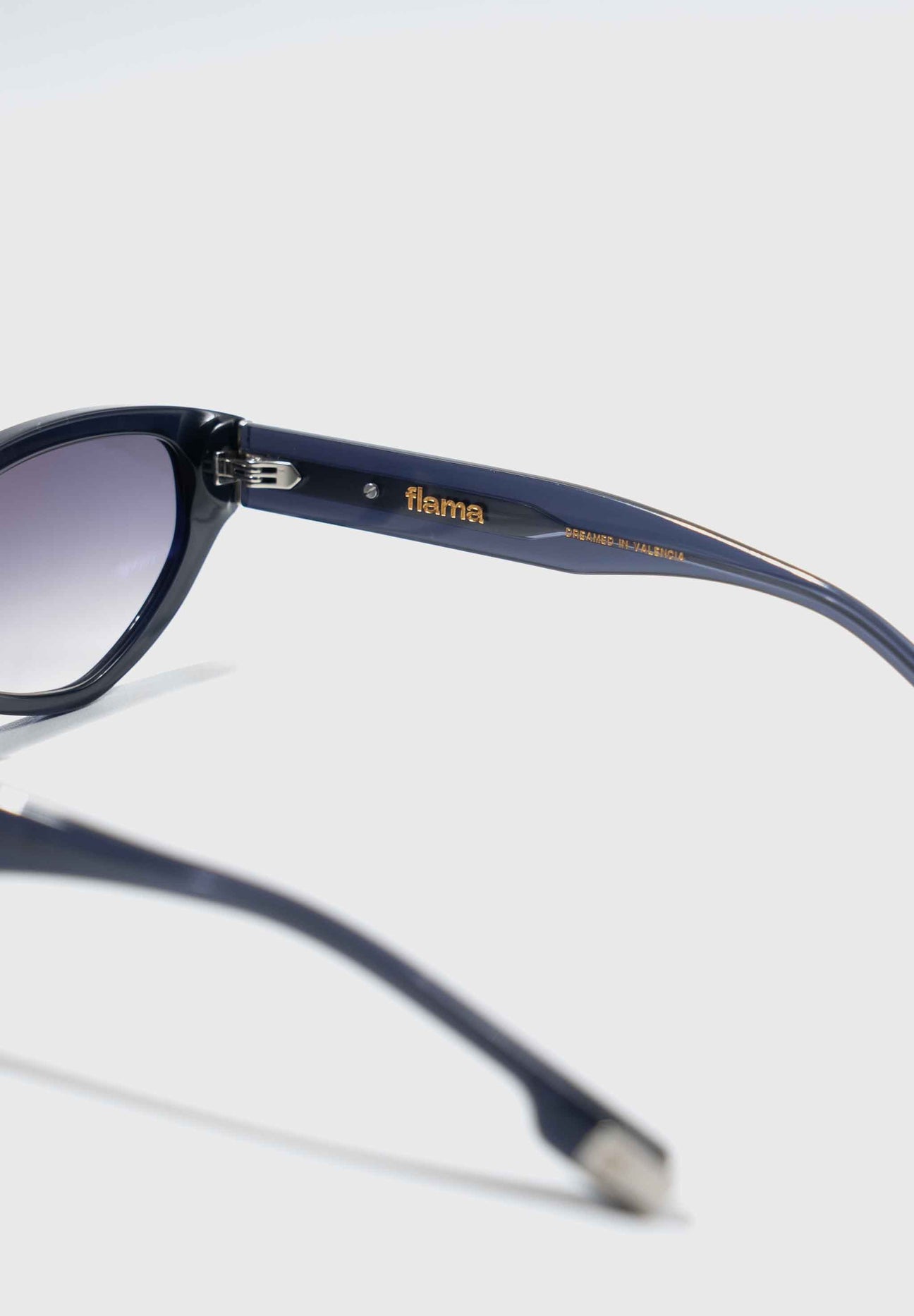 Gafas de sol FLM05 C1