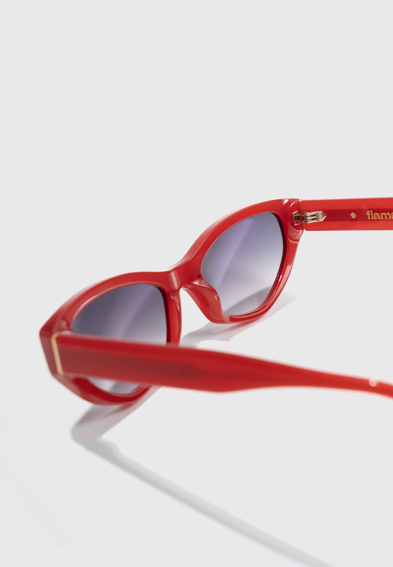 Gafas de sol FLM05 C3