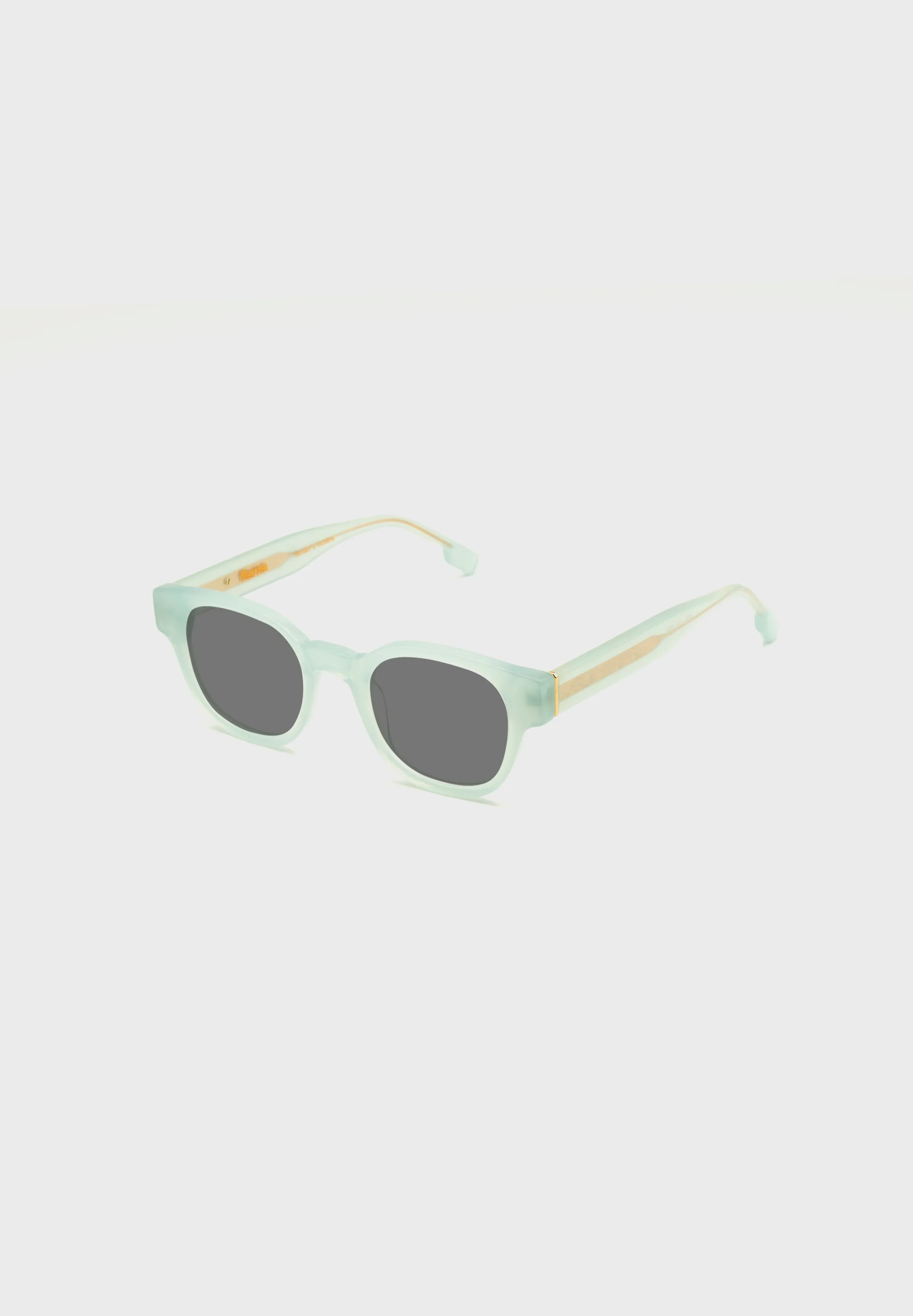 FLM01 C3 Sunglasses